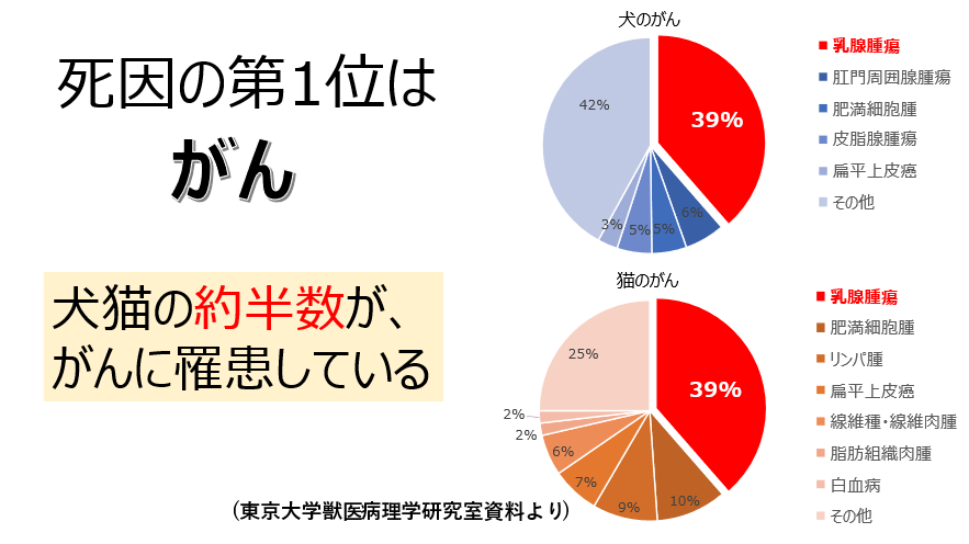 がん罹患の現状