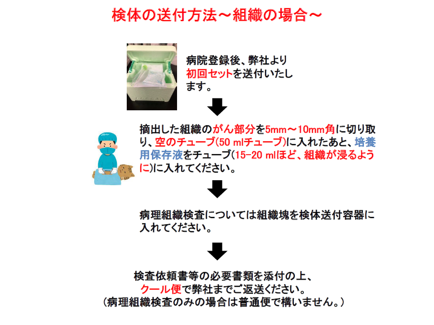 感受性検査送付方法1