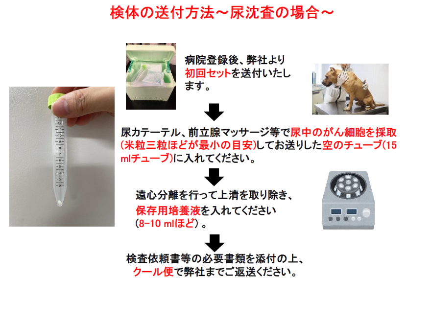 感受性検査送付方法2