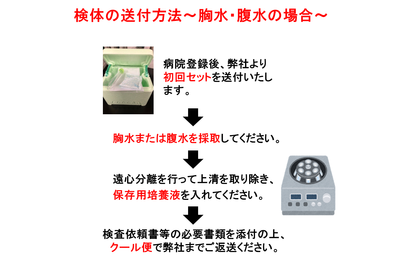 感受性検査送付方法3